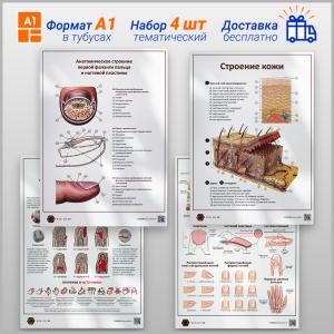 Фото - Набор тематических плакатов в кабинет маникюра (формат А1)