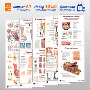Фото - Набор плакатов для подологов (10 шт) + бесплатная доставка (формат А1)