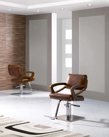 Фото - Кресло парикмахерское D.BROWN