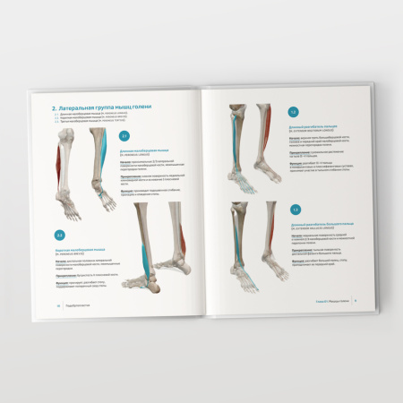 Фото - ПодоОртопластия. Ортопластия и малая ортопедия для спецов и не только…