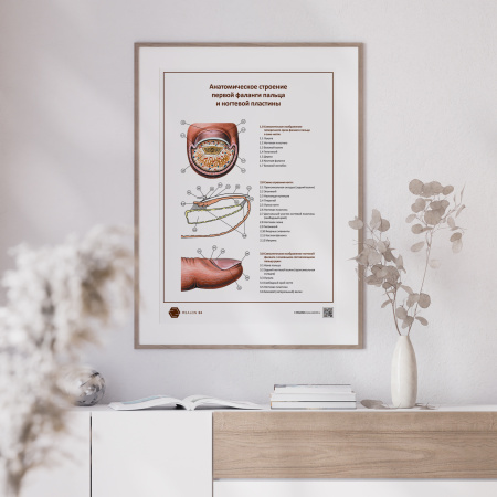 Finger___POSTER-02___1920x1920px