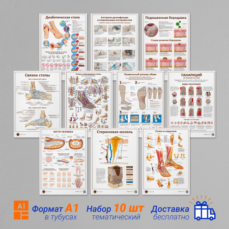 Фото - Набор плакатов 10 для подолога и ортопеда (формат А1)