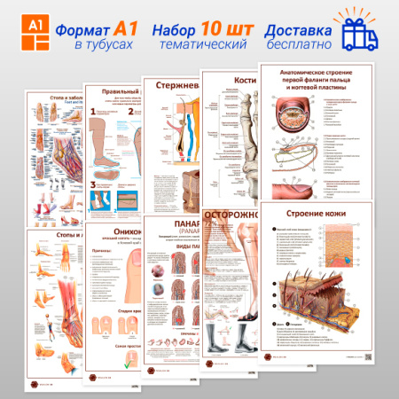 Фото - Набор плакатов для подологов (10 шт) + бесплатная доставка (формат А1)