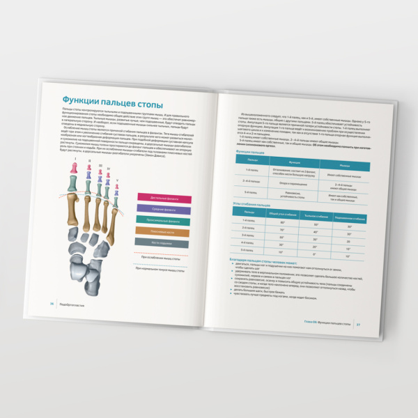 Фото - ПодоОртопластия. Ортопластия и малая ортопедия для спецов и не только…