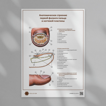 Finger___POSTER-03___1920x1920px