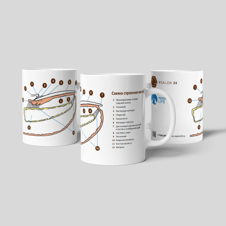 НоменклатураПрисоединенныеФайлы