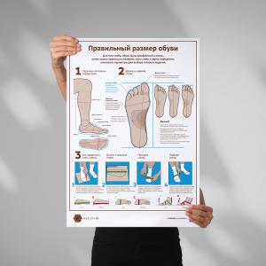 Фото - Размер обуви (плакат А1)
