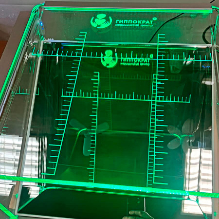 плантограф_акрилмедик_7